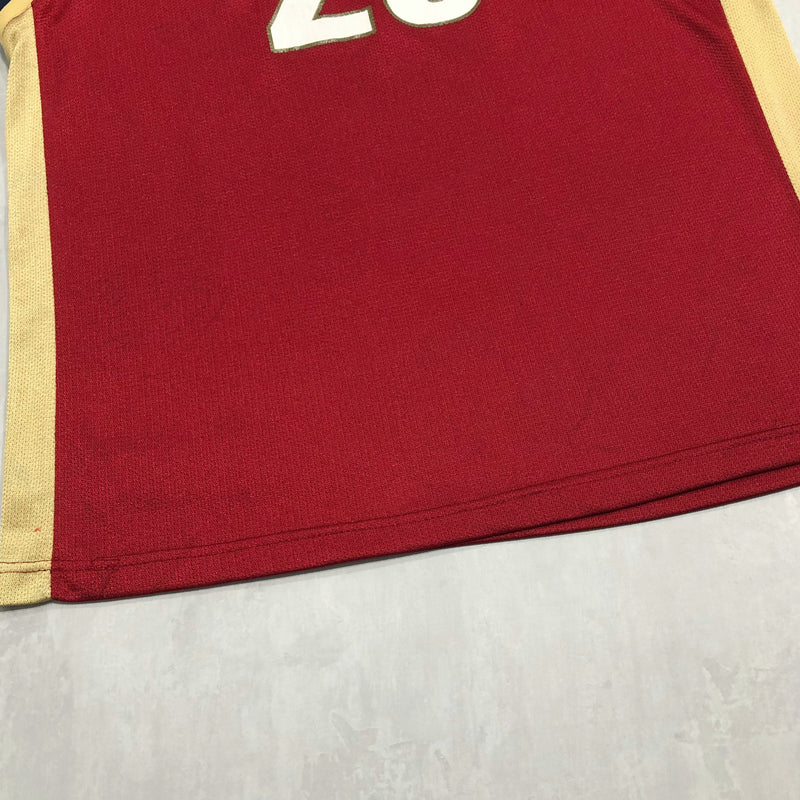 Vintage #23 LEBRON JAMES Cleveland Cavaliers NBA Nike Jersey L