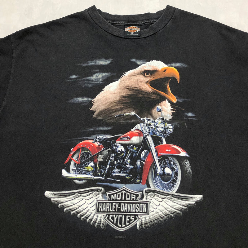 Harley Davidson T-Shirt 2000 Dorking England USA (XL)