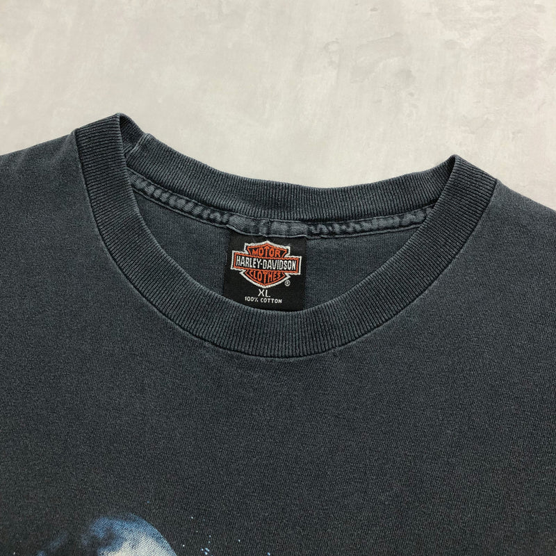 Harley Davidson T-Shirt 90's Legends Live Where Legends Roam USA (XL)