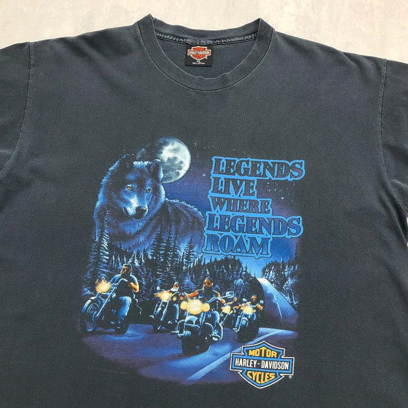 Harley Davidson T-Shirt 90's Legends Live Where Legends Roam USA (XL)