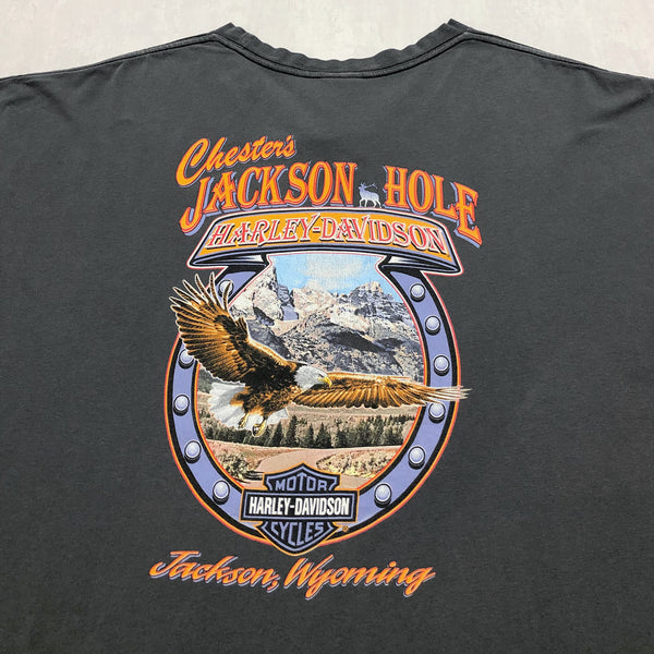 Harley Davidson T-Shirt Jackson Wyoming (4XL/TALL)