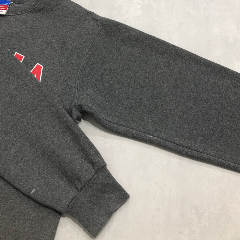 Champion Sweatshirt Georgia Uni (W/L)