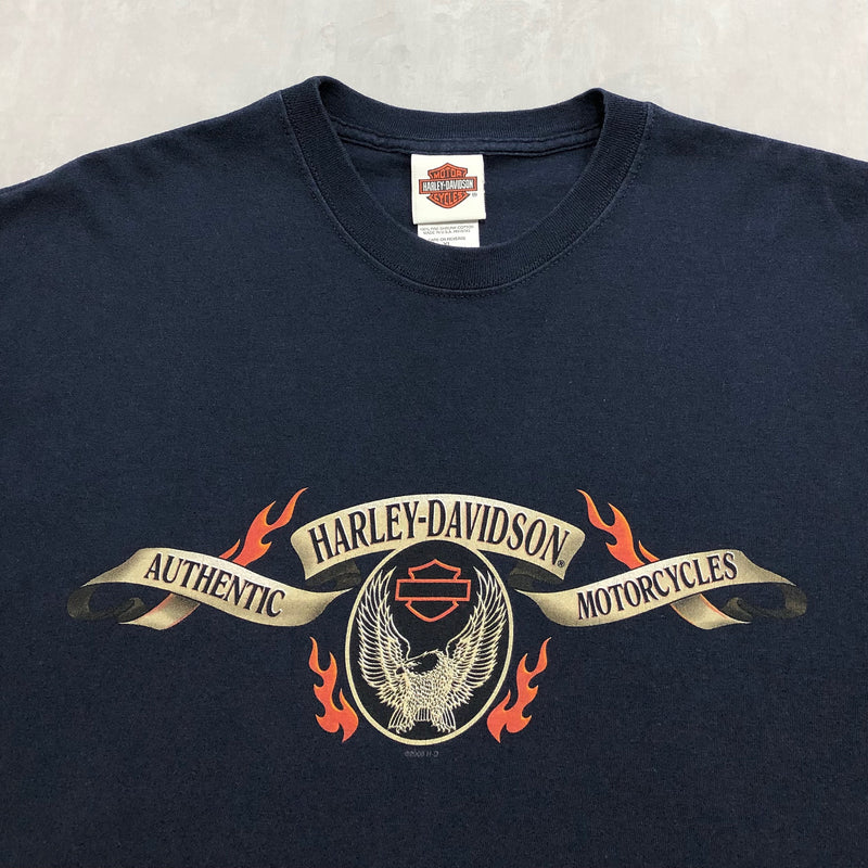 Harley Davidson T-Shirt USA (L/TALL)