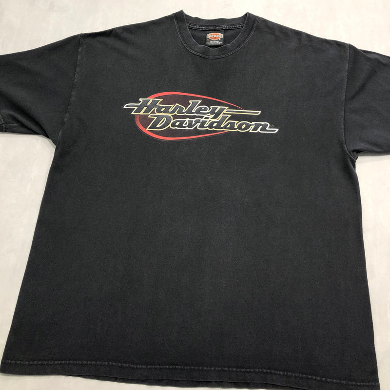 Harley Davidson T-Shirt 2001 Black Hills Rally Sturgis USA (XL)