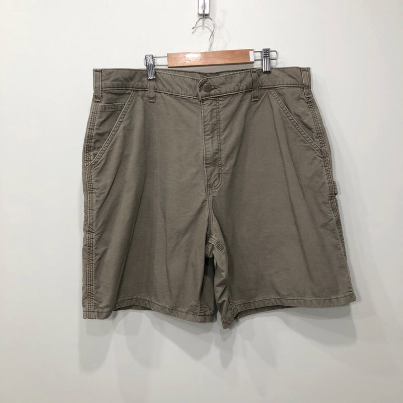 Carhartt Shorts (36)