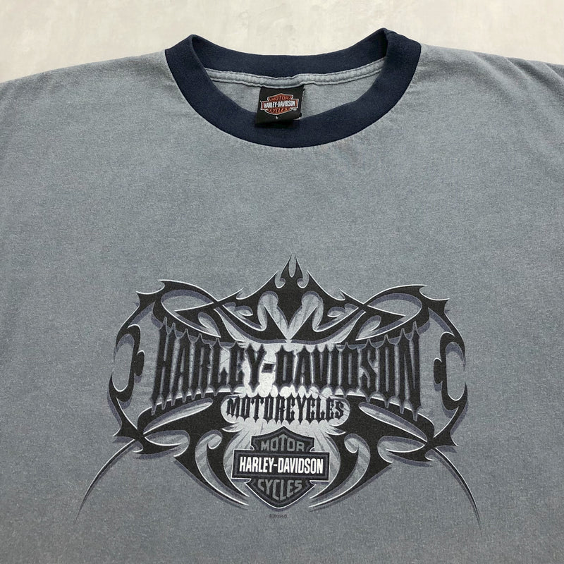 Harley Davidson T-Shirt Charlotte North Carolina USA (L/TALL)