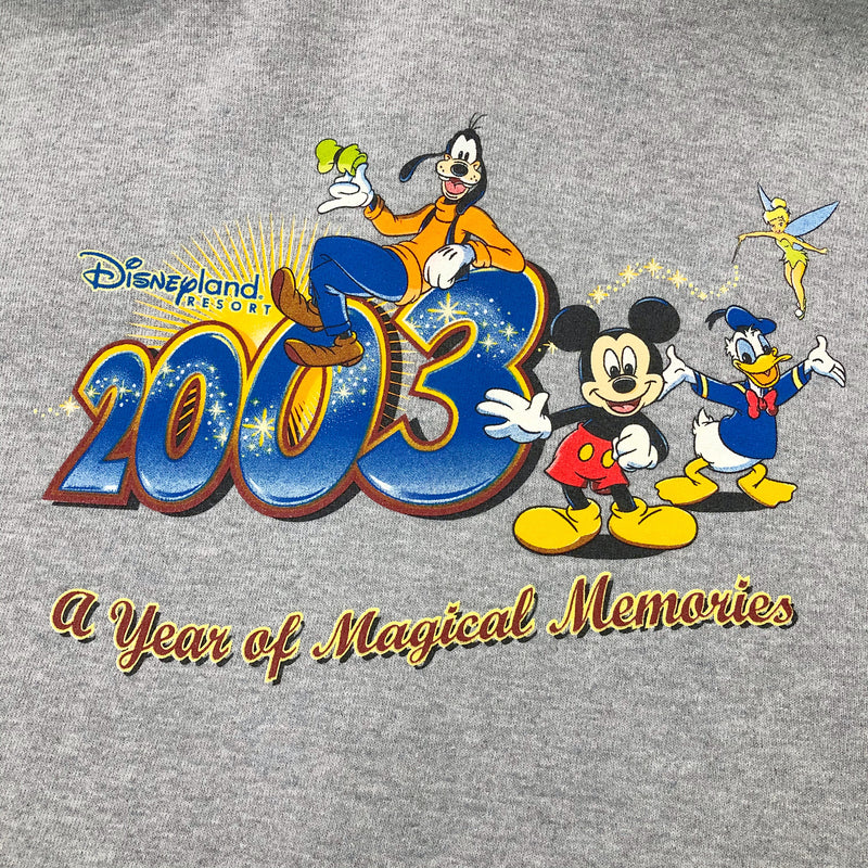 Disney Fleeced Hoodie Zip 2003 Disneyland Resort (XL)